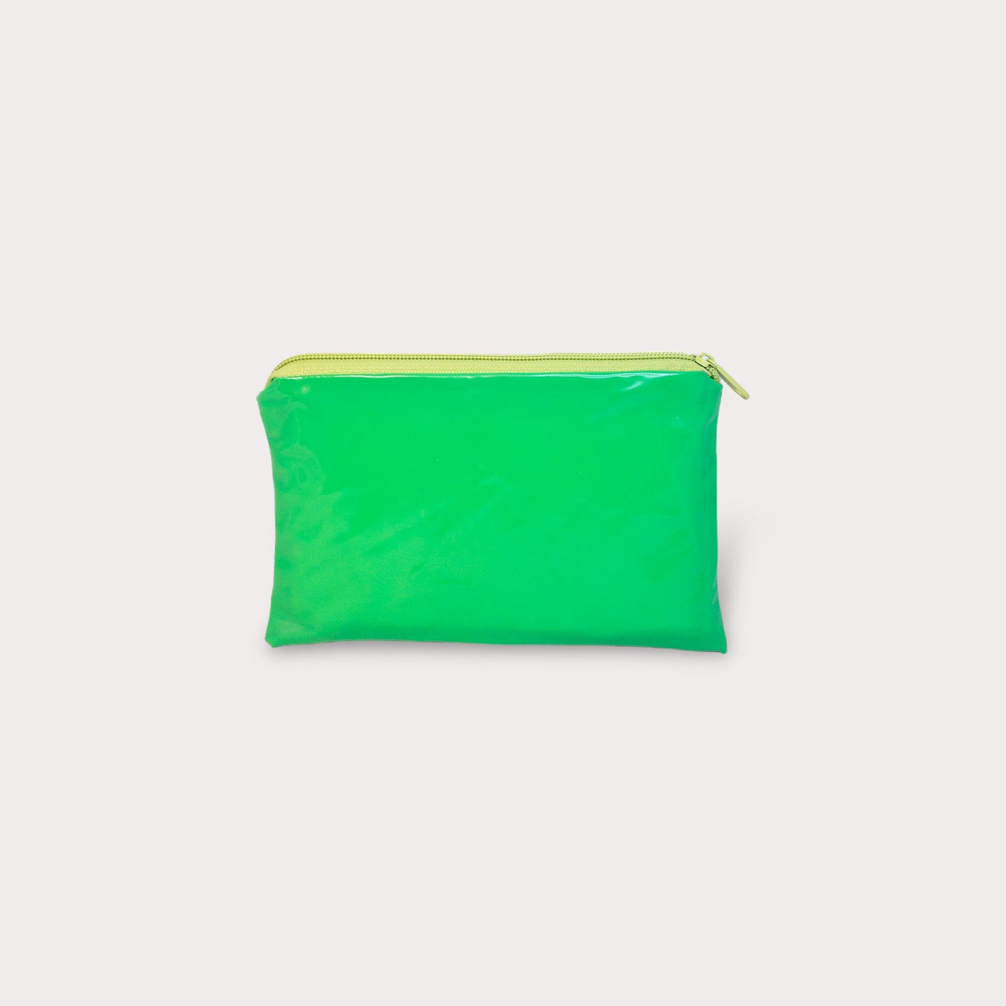 Coin Purse . Watermelon. Pool Toy
