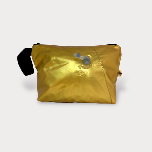 Overnight Bag . Gold. Pool Toy